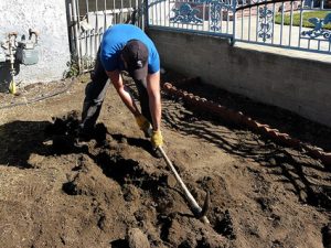 digging digging_for_gold