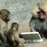 computer monkey