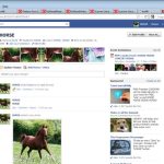 Horsebook