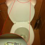 bandwidth