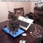 Don't sit on the keyboard - OK