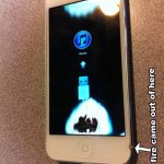 microwaved iphone