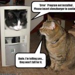 caturday_error