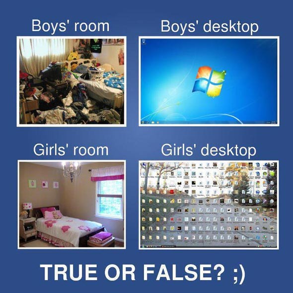 true_false